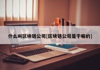 什么叫区块链公司[区块链公司是干嘛的]